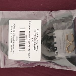 Luv Aj hoop earrings